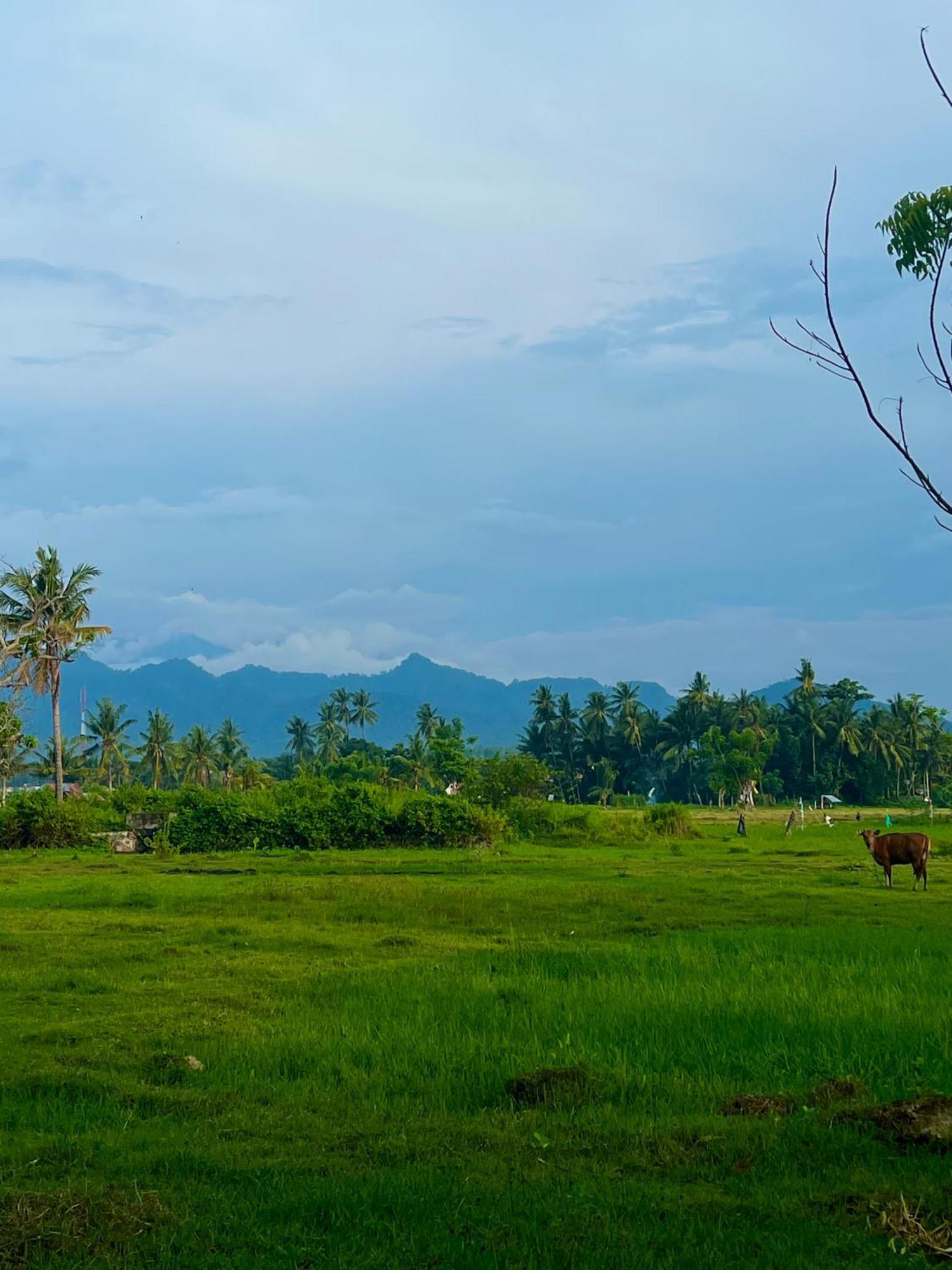 Rinjani Beach Eco Resort Tanjung  Buitenkant foto